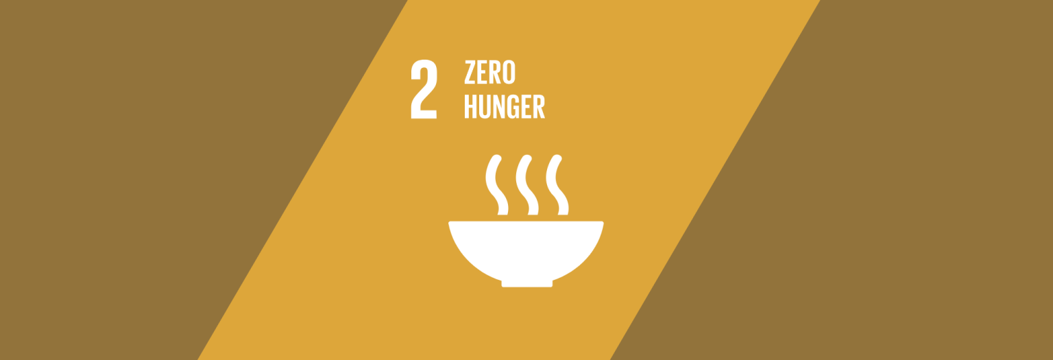 End Hunger Achieve Food Security And Improved Nutrition And Promote